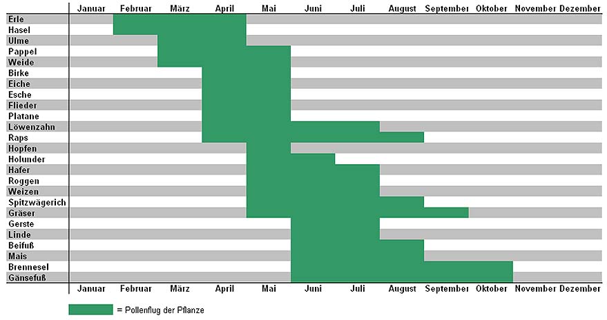 Pollenflugkalender Bremerhaven